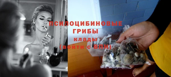 спиды Аркадак