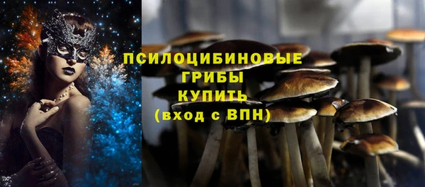 спиды Аркадак