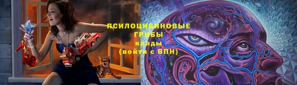 спиды Арсеньев