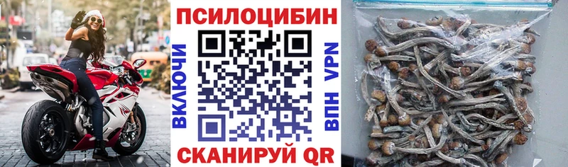 купить наркоту  Лебедянь  Галлюциногенные грибы прущие грибы 